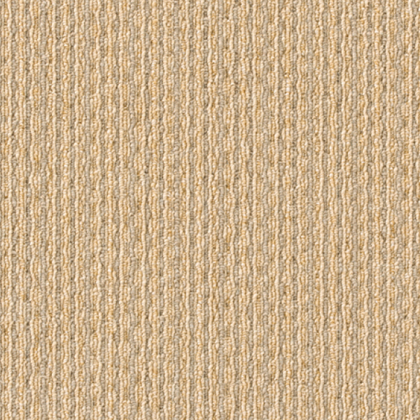 AK9555