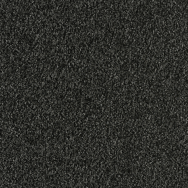 GA36004