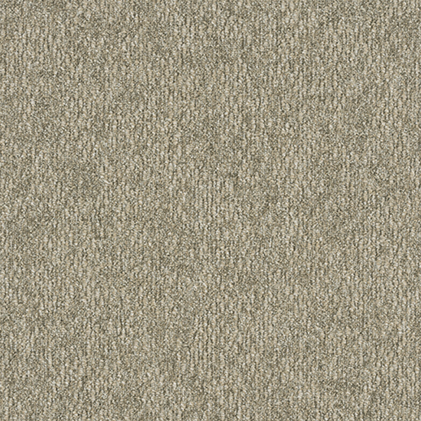 GA36008