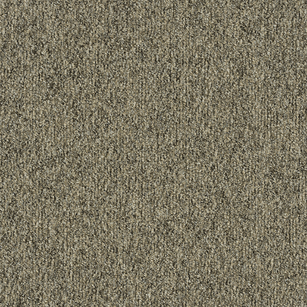 GA36009