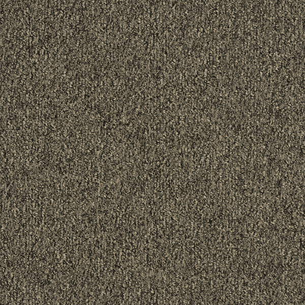 GA36010