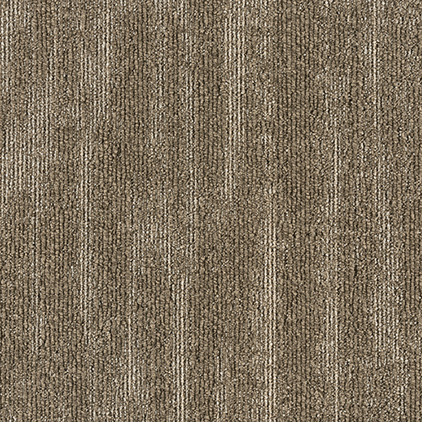 GA36204