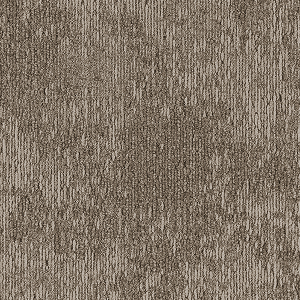 GA36304