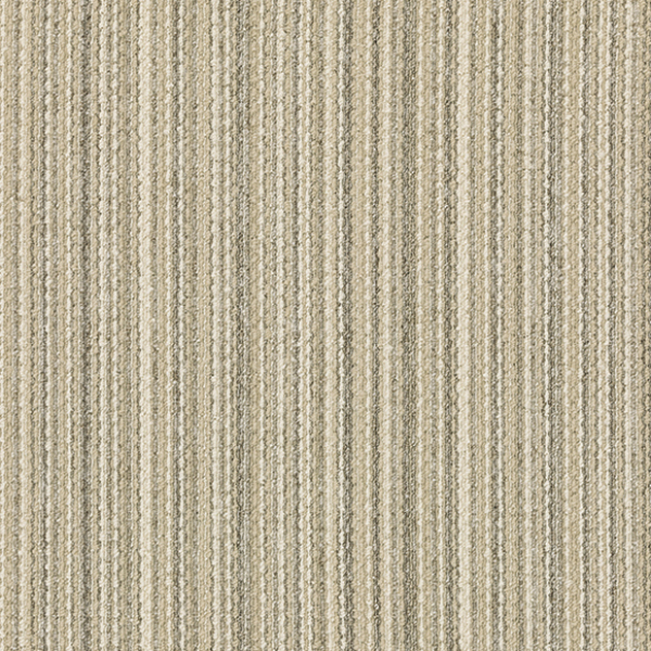 GA5556