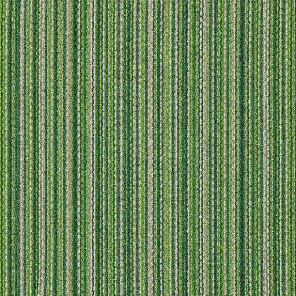 GA5557