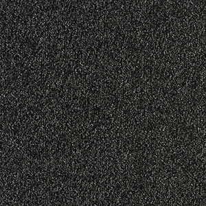 GA36004