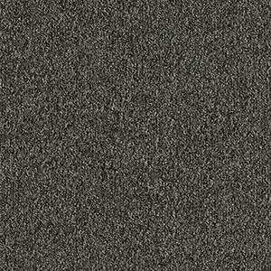 GA36007