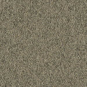 GA36009