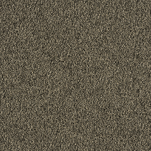 GA36010