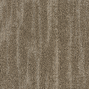 GA36204