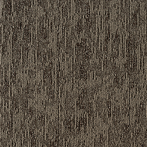 GA36455