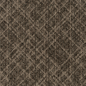GA36705