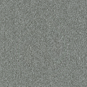 GEM1063