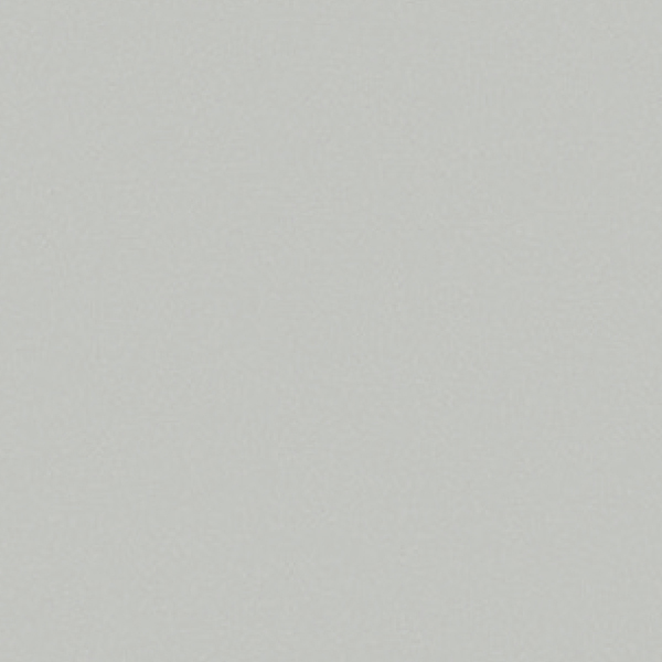 20FL1004