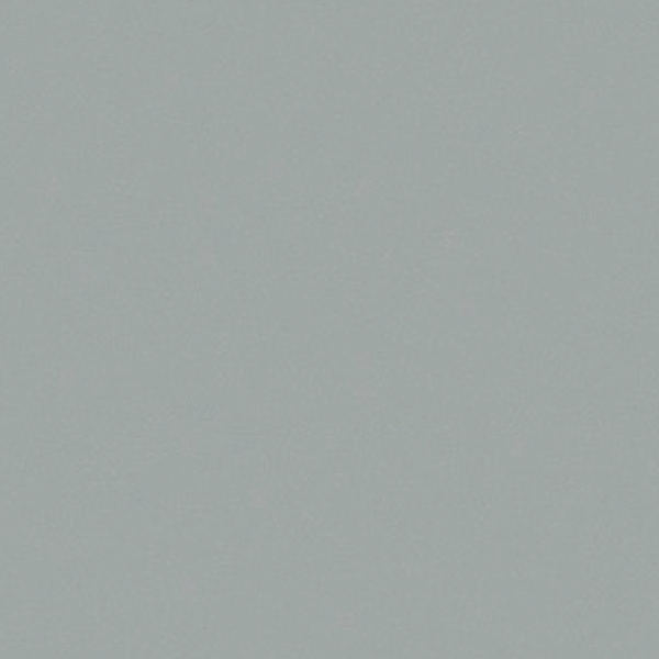 20FL1005