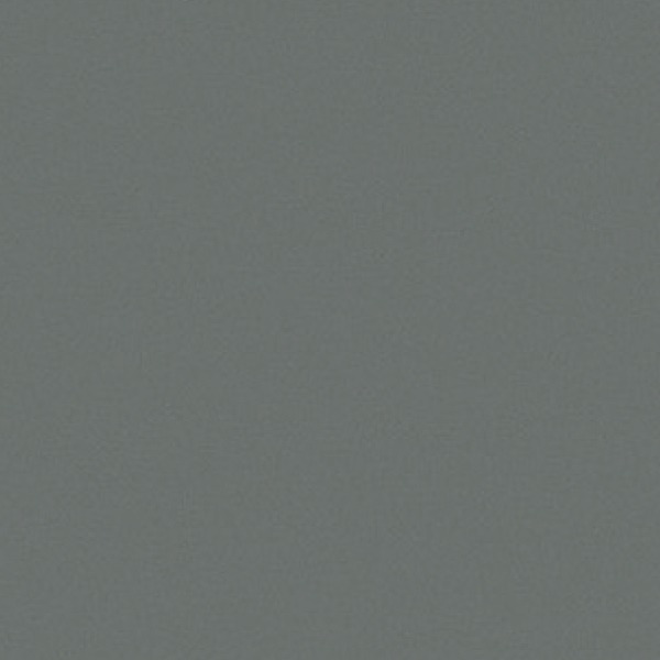 20FL1006