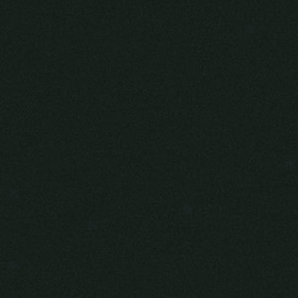 20FL1007