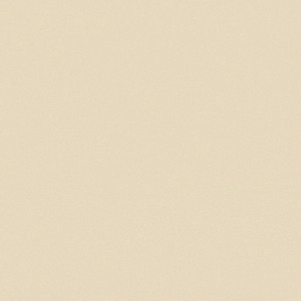 20FL1008