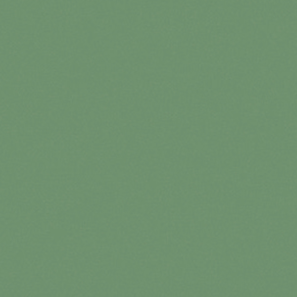 20FL1013