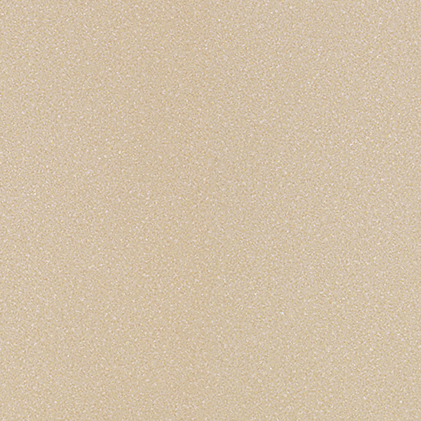 20FL908