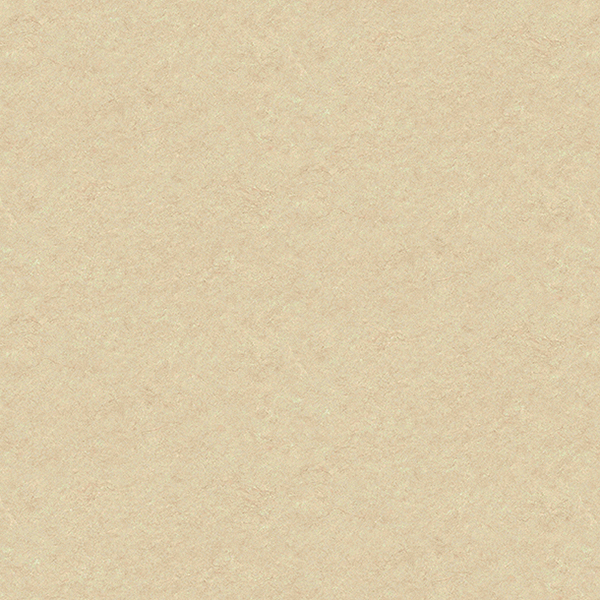 CF9665
