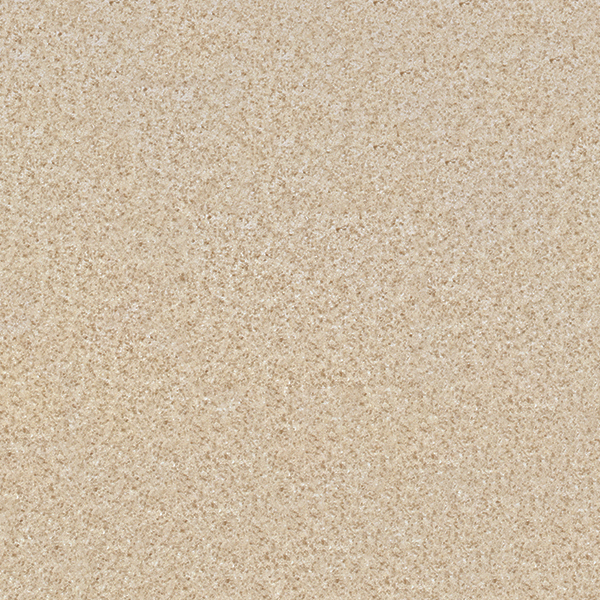 TS7101