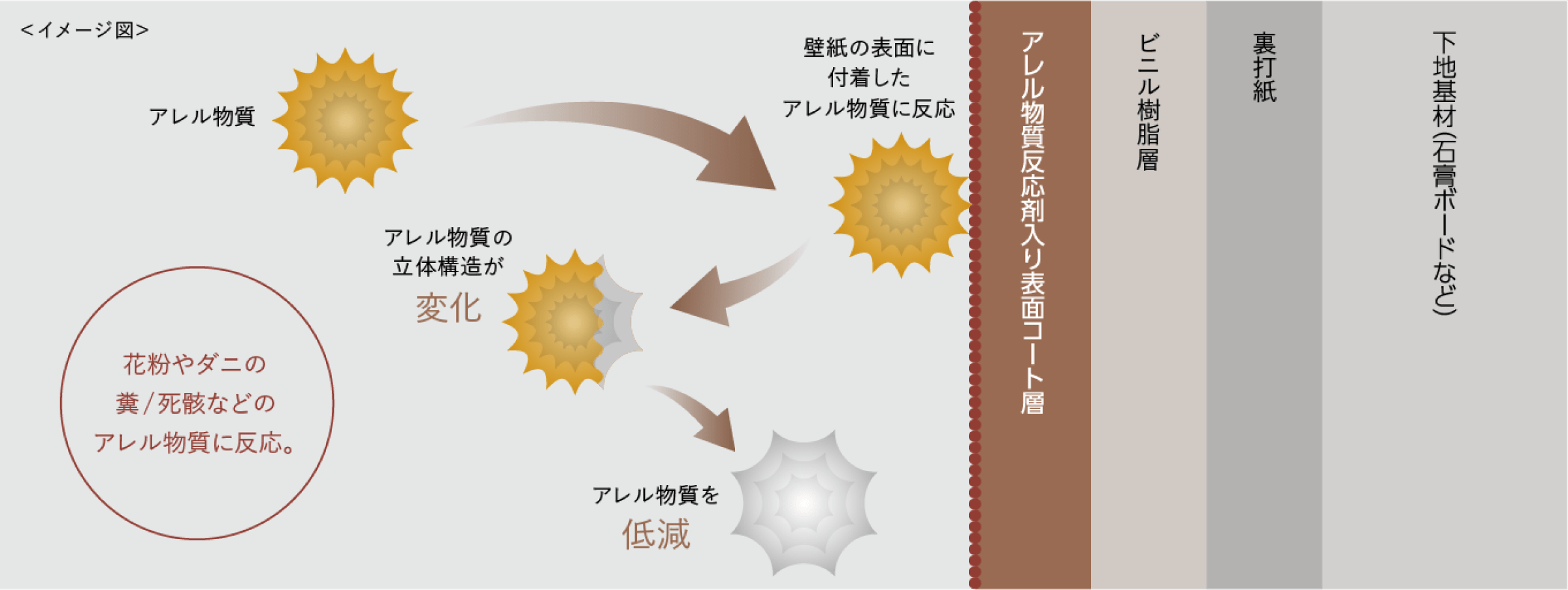 抗アレルメカニズム